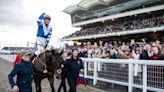 Frodon: 'He takes my breath away - he feels like he has wings when he takes off'