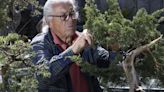 A Bremerton bonsai master has created his own Eden of ancient art and nature