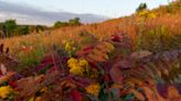 These are the best spots in and around Topeka to capture fall colors in photos