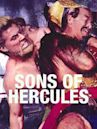 Sons of Hercules