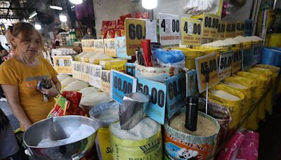 Congress think tank calls for review of rice fund use - BusinessWorld Online