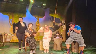 Gaslight Theatre presents children’s play ’Dr. Doodle Will See You Now’