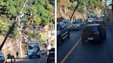 VÍDEO | Poste fica pendurado e bloqueia avenida em Vitória