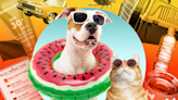 8 Tips For a Pet Safe Summer