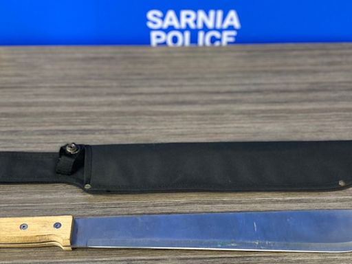 Threats to kill a person lead to charges in Sarnia