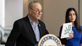 Senators call on Schumer to hold insulin vote