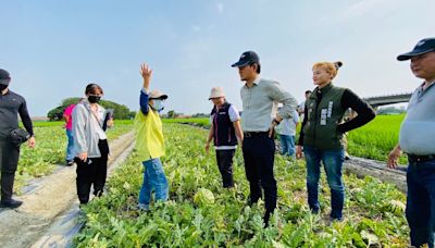 忽晴忽雨受不了 雲林西瓜、芒果傳災情