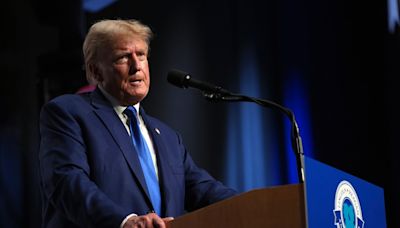 Donald Trump sigue usando la acusación de "fraude electoral" de 2020 para captar votos en Minnesota - El Diario NY
