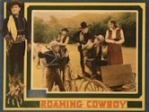 Roaming Cowboy