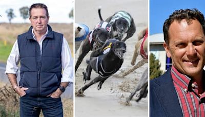 Did Bathurst fight hard enough for greyhounds development? Mayor, state MP at odds