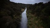 Whanganui River 'always makes things better for me'