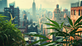 NY Cannabis Office Overhauled: Gov. Hochul Plans To 'Unclog The Licensing Bottleneck'