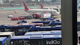 Indian aviation reports best-ever first half in 2024; IndiGo, Tata group airlines fly high; SpiceJet biggest loser | Mint