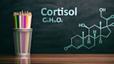 OK, Wait—What Does 'Cortisol' Actually Mean?