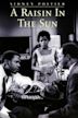 A Raisin in the Sun (1961 film)