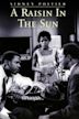 A Raisin in the Sun