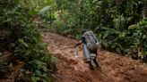 Casi 500.000 personas han cruzado la selva del Darién en 2023, advierte MSF