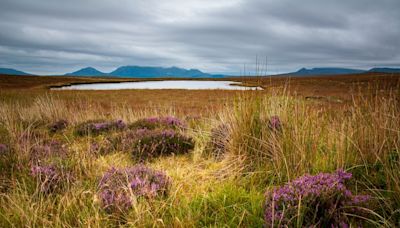 The UK just got a brand-new UNESCO World Heritage Site