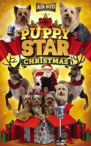 Puppy Star Christmas