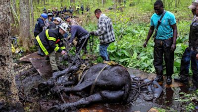 Rescatan caballos que se habían quedado atascados en el lodo en Connecticut