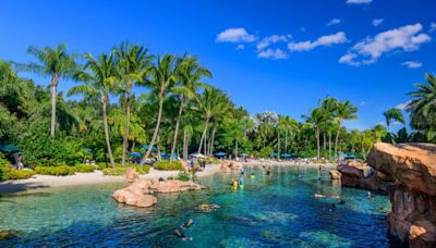 Man in critical condition after being found unresponsive in Discovery Cove pool