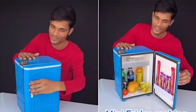 Watch: Vlogger Makes Mini Fridge From Scratch At Home, Internet Says, "India Not For Beginners"