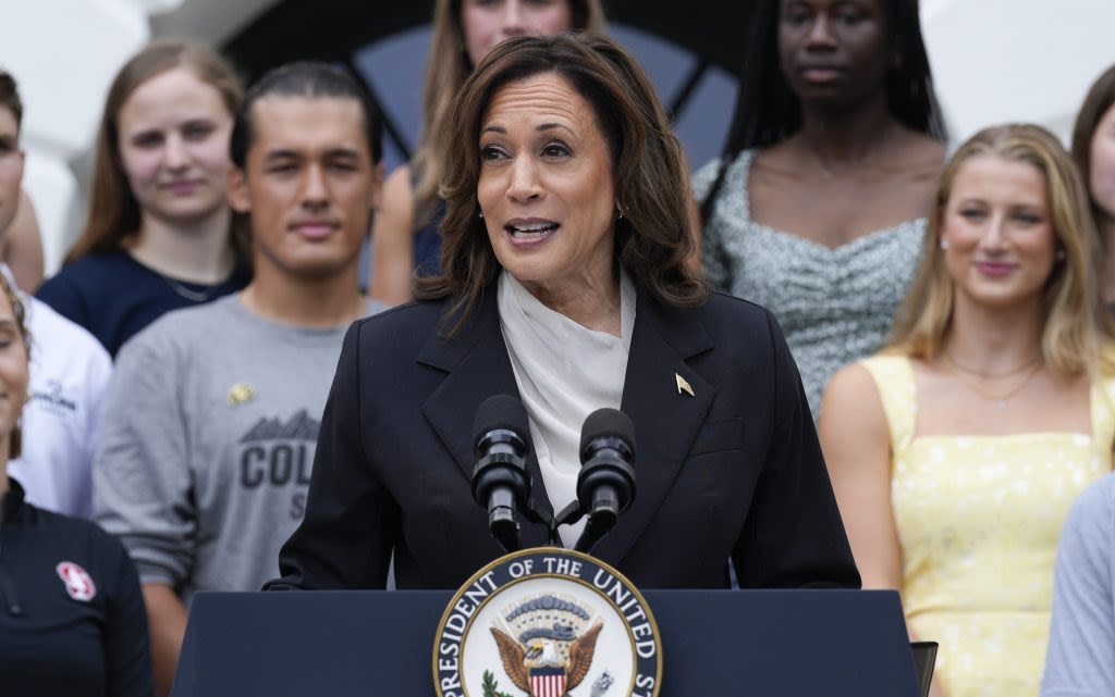 Top VP candidates to join Kamala Harris on new Democratic ticket