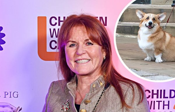 Sarah Ferguson Says Her and Queen Elizabeth's Dogs Get Along Well