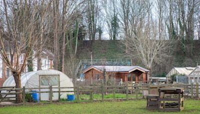 The city farms in Bristol and what they do for local communities