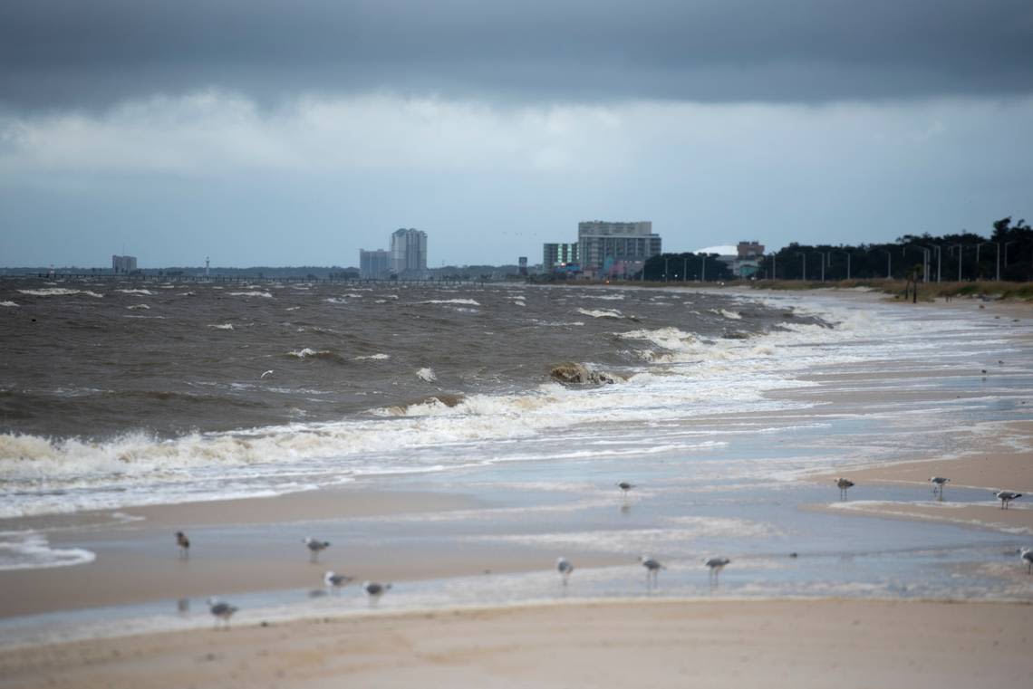 Live updates: Checking in on bridges & beaches, and firefighters that wrangled a gator