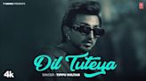 Watch The Music Video Of The Latest Punjabi Song Dil Tuteya Sung By Tippu Sultan | Punjabi Video Songs - Times of India