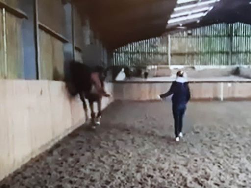 Video of Charlotte Dujardin whipping horse is shown on Good Morning Britain