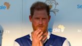 King Charles’ trust for Prince Harry is ‘long gone’