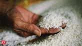 GoM takes decision on lifting export ban on certain varieties of non-basmati rice: Goyal - The Economic Times