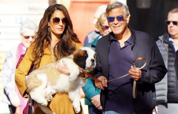 George Clooney Turns 63: Inside His 9-Year Marriage to Amal
