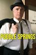 Poodle Springs (film)