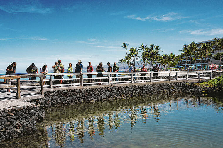 Native Hawaiian council seeks to develop economic opportunities