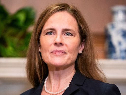 Trump lawyer makes admission under questioning from Justice Amy Coney Barrett | CNN Politics