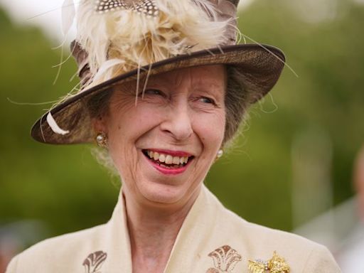 Princess Anne is out of hospital and recuperating at home after suffering head injury