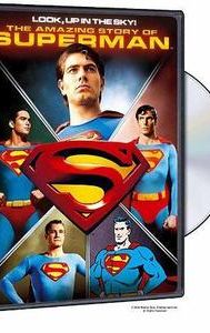 Look, Up in the Sky: The Amazing Story of Superman