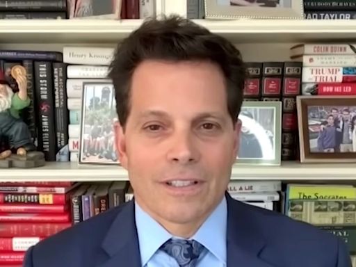 Anthony Scaramucci Lays Out How He Believes Democrats Can Beat Trump