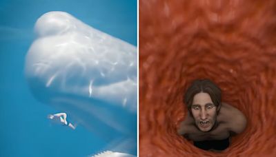 Terrifying Simulation Reveals What Would Happen To Your Body If Swallowed By A Whale