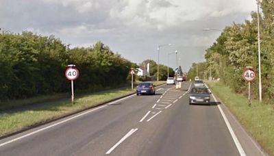 Woman in her 60s and dog killed after being hit by taxi while out on walk