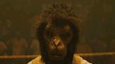 Monkey Man: Dev Patel Embarks On John Wick-Style Revenge Quest in Wild, Jordan Peele-Produced Action Flick