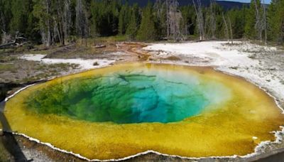 Yellowstone National Park's famous thermal pool ruined by tourists' ‘good luck’ coins