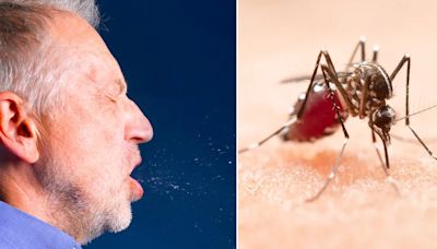 ¿Qué es más peligroso el dengue o el COVID?