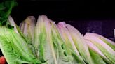 Lettuce Check: More Than 11,000 Pounds of Romaine Recalled