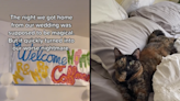 Woman reveals how friends decorated her home with flowers that accidentally poisoned her cat