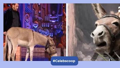 Bigg Boss 18 slammed for 'animal cruelty' as a donkey aka Gadhraj is locked up inside the house