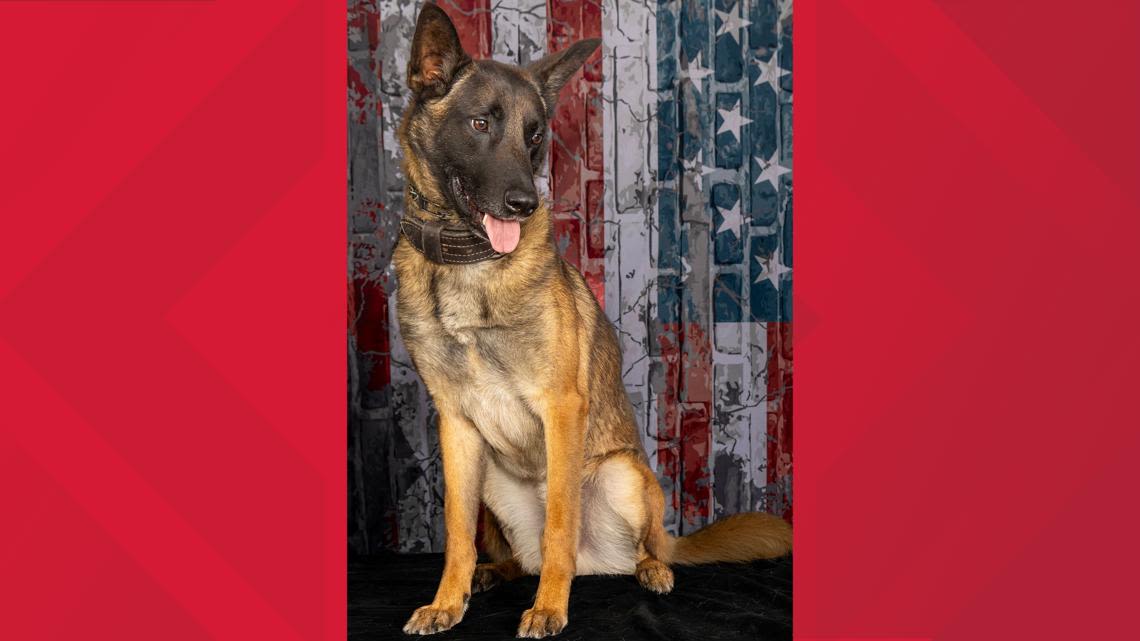 Richland County K9 dies in the line of duty early Thursday morning